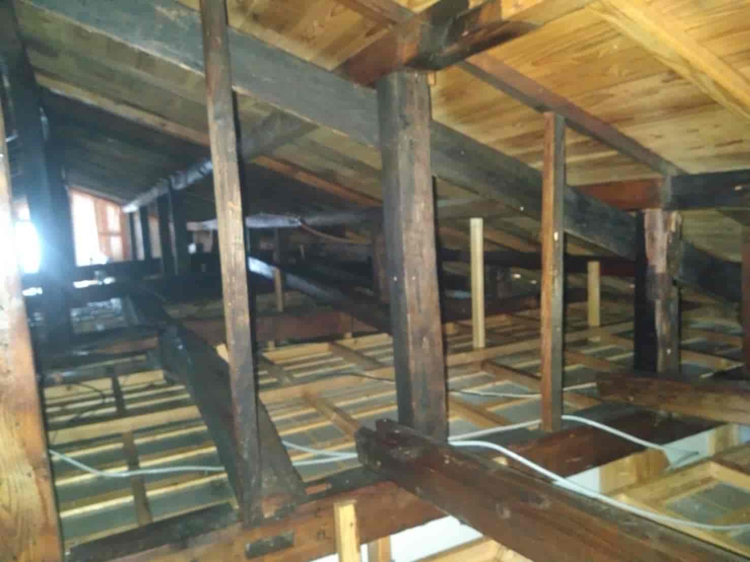 イエシロアリ駆除｜熊本県人吉市