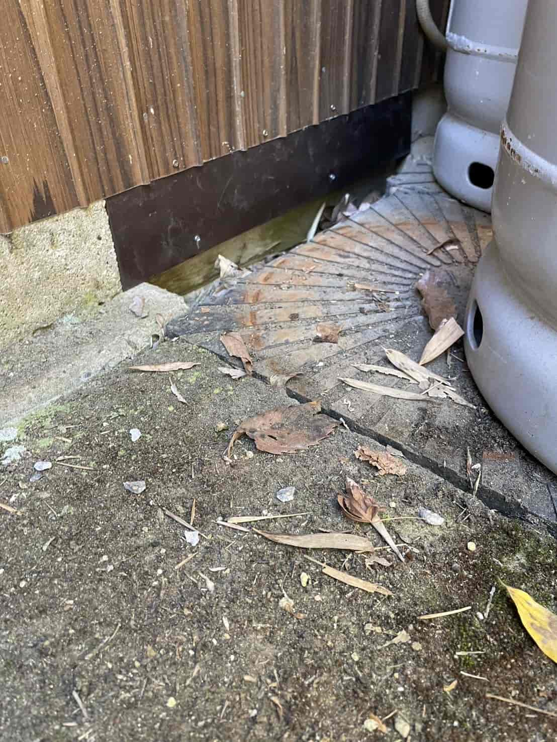 イタチ対策｜千葉県市原市